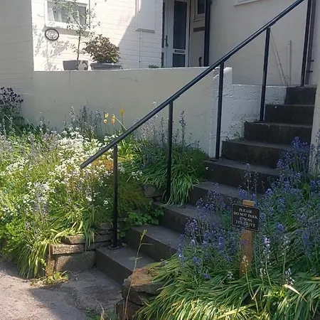 Dog Friendly Cute In N Yorks Village 10 Miles Nth Of York *